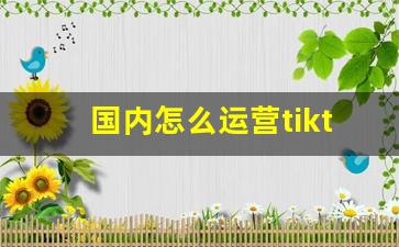 国内怎么运营tiktok_tiktok 国内